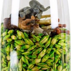 Petit Boum - Spy Bottle - Sensorische Fles - Jungle