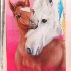 Depesche Miss Melody Mobile Notebooks -educational games Winkel 442x840