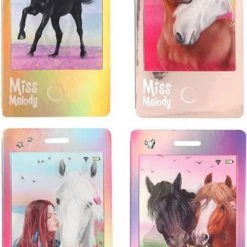 Depesche Miss Melody Mobile Notebooks -educational games Winkel 482x840 1