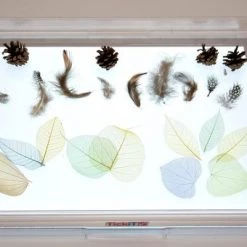 TickiT Kunststof Bak Voor Op A2 Lichtpaneel -educational games Winkel 550x340 1