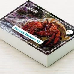 Huurdies Cadeautip! Oceaan Memory - Oceaan - Memory Spel - 70 Stuks - Schoencadeautjes Sinterklaas -educational games Winkel 550x353