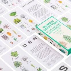 Tony Kirkham Bomen Spotten -educational games Winkel 550x366 116