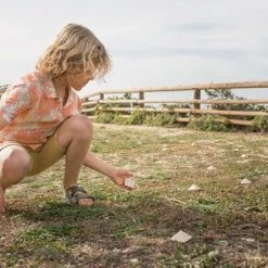 BS Annemaria Koekoek - Hout - FSC - Vanaf 8 Jaar - Buitenspeelgoed - 2 Tot 12 Spelers - Actief Spel -educational games Winkel 550x366 34