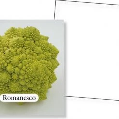 Huurdies Cadeautip! Groenten Memory - Educatief Memoryspel - Groentes Memory Spel - 70 Stuks - Schoencadeautjes Sinterklaas 6 Huurdies Cadeautip! Groenten Memory - Educatief Memoryspel - Groentes Memory Spel - 70 Stuks - Schoencadeautjes Sinterklaas -educational games Winkel 550x386 5