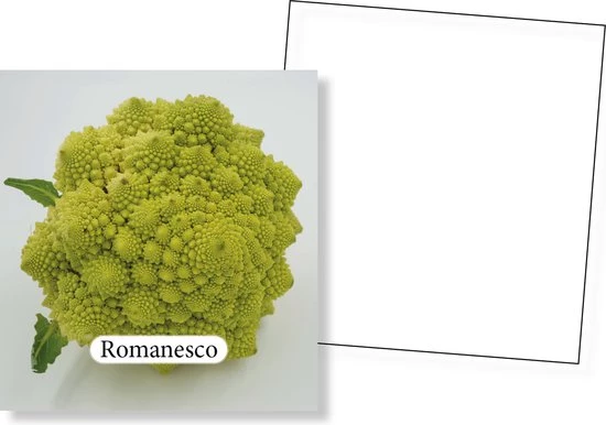 Huurdies Cadeautip! Groenten Memory - Educatief Memoryspel - Groentes Memory Spel - 70 Stuks - Schoencadeautjes Sinterklaas 3 Huurdies Cadeautip! Groenten Memory - Educatief Memoryspel - Groentes Memory Spel - 70 Stuks - Schoencadeautjes Sinterklaas - Afbeelding 3