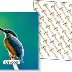 Huurdies Cadeautip! Vogel Memory - Educatief Memoryspel - Vogel Memory Spel - 70 Stuks - Schoencadeautjes Sinterklaas 7 Huurdies Cadeautip! Vogel Memory - Educatief Memoryspel - Vogel Memory Spel - 70 Stuks - Schoencadeautjes Sinterklaas -educational games Winkel 550x386 6