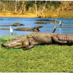 Brainstorm Toys Barbie Play-Doh Klei Potjes - Play Dough Set - 4-pack -educational games Winkel 550x415 8