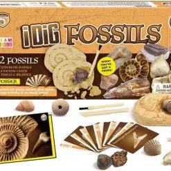 Merkloos Dr. Daz Fossielen Opgravingsset Voor Kinderen Opgravingsfossielen Experimentdoosjes Voor Kinderen Van 7 8 9 10 Jaar Zie Ook Doos 5542 -educational games Winkel 550x443 7