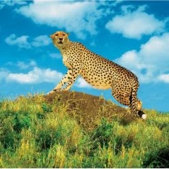 Brainstorm Toys Barbie Play-Doh Klei Potjes - Play Dough Set - 4-pack -educational games Winkel 550x454 4