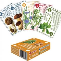Buiten-Speelkaarten Wilderniskaarten - Eetbare Wilde Flora -educational games Winkel 550x495 9