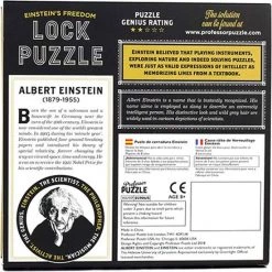 Asmodee Einstein Lock Puzzle - -educational games Winkel 550x550 111