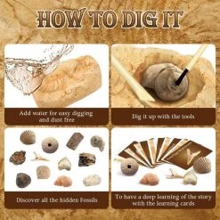 Merkloos Dr. Daz Fossielen Opgravingsset Voor Kinderen Opgravingsfossielen Experimentdoosjes Voor Kinderen Van 7 8 9 10 Jaar Zie Ook Doos 5542 -educational games Winkel 550x550 386