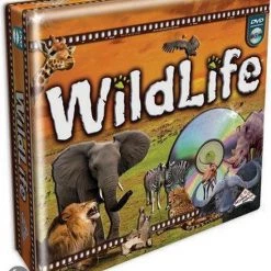 Identity Games Wildlife DVD Bordspel