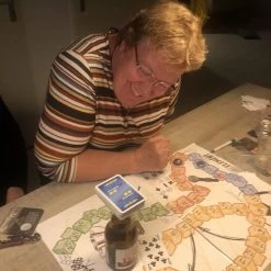 Speelement Het Gezelschapsspel Coronials -educational games Winkel 550x733 41