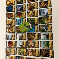 Asmodee DINO CHALLENGE - GROEN -educational games Winkel 550x733 59