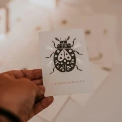 THE SPIRIT JUNKIES Spirit Animal Cards -educational games Winkel 550x823 10