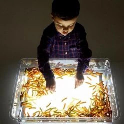 TickiT - Kunststof Bak Voor Op A3 Lichtpaneel 30 TickiT - Kunststof Bak Voor Op A3 Lichtpaneel -educational games Winkel 550x825 1